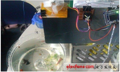 极致创意！DIY自动喂鱼装置（附代码）